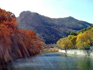 新澳天天彩免费资料大全查询，上海排水板